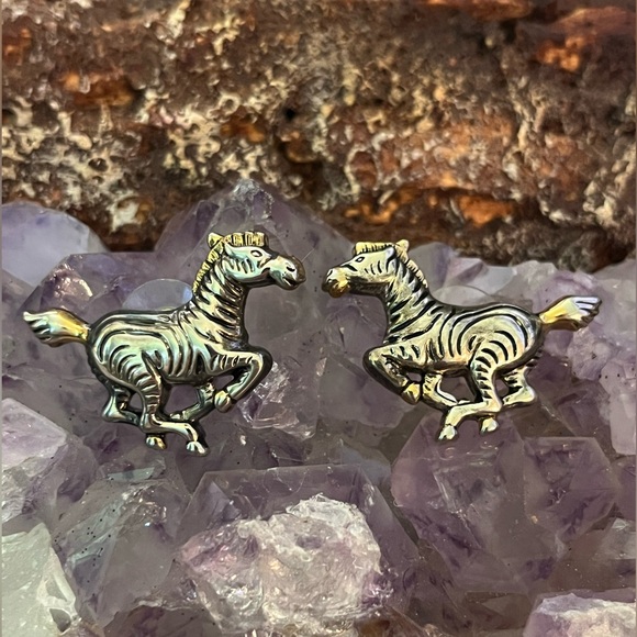 Best Jewelry - Silver Zebra Earrings